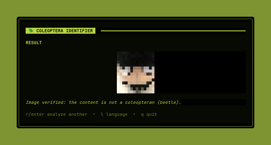 Resultado no terminal para uma imagem que o modelo classificou como não pertencente à ordem Coleoptera.
