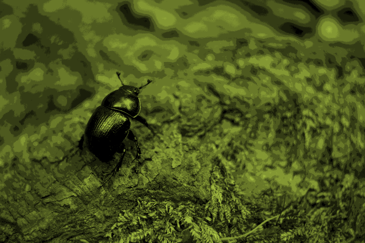 Besouro preto sobre um tronco com musgo, em tons de verde e preto com dithering Bayer.