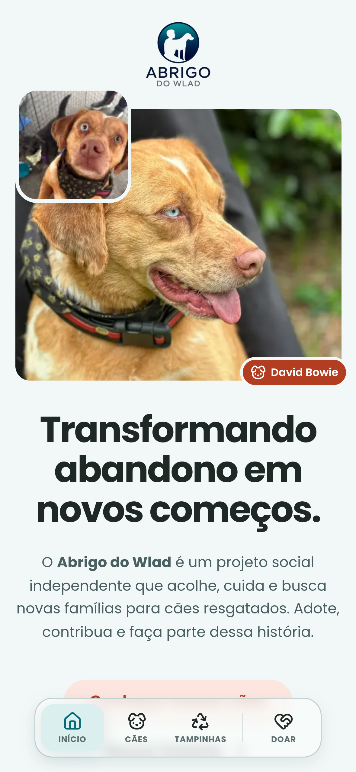 Página inicial mobile do Abrigo do Wlad com fotos do cão David Bowie e apresentação do projeto.