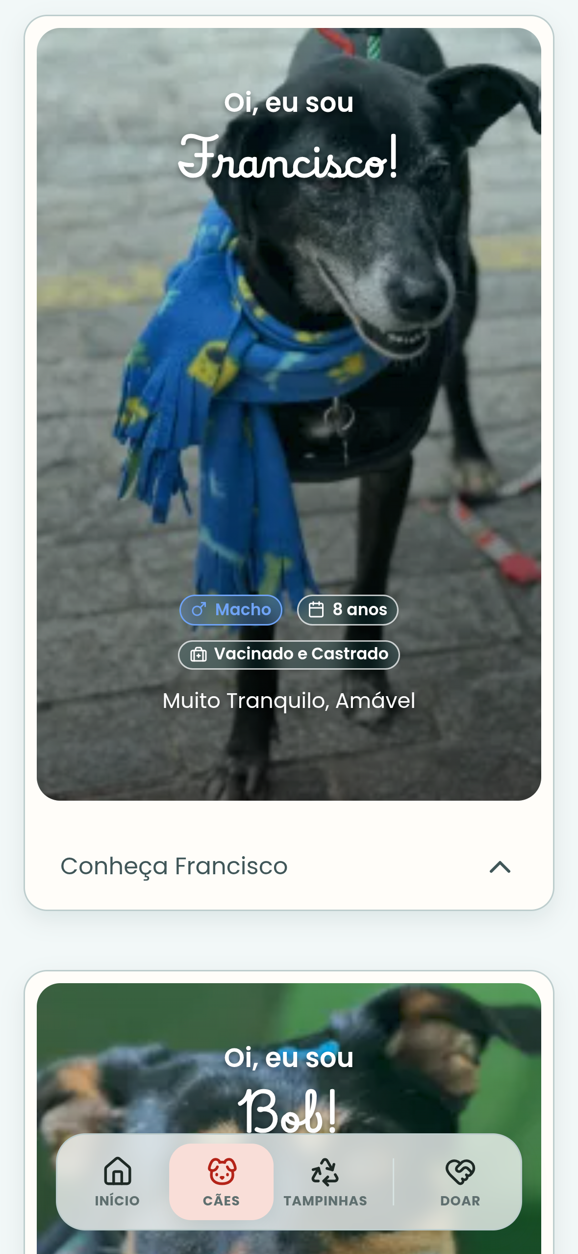 Lista mobile de cães para adoção do Abrigo do Wlad, com o cartão de Francisco aberto e o de Bob abaixo.